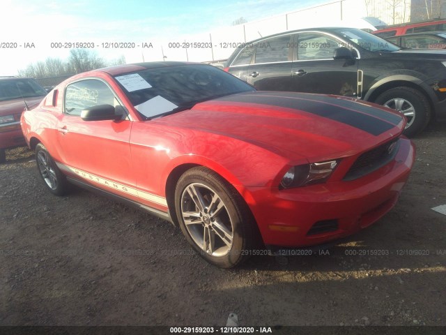 FORD MUSTANG 2010 1zvbp8an4a5156217