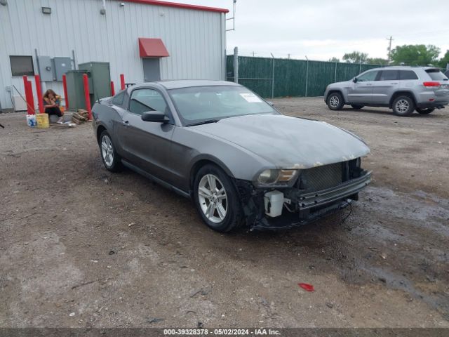 FORD MUSTANG 2010 1zvbp8an4a5156220