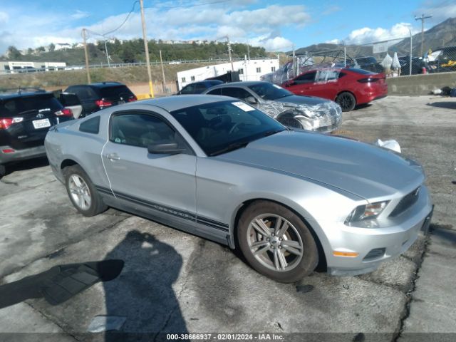 FORD MUSTANG 2010 1zvbp8an4a5160445