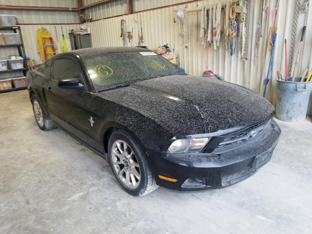 FORD MUSTANG 2010 1zvbp8an4a5160512