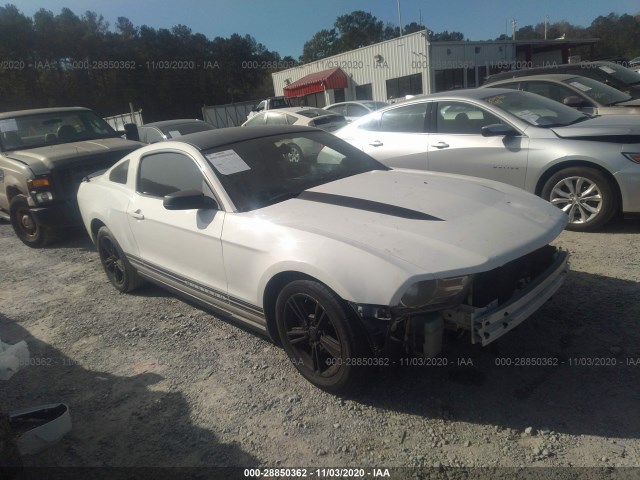 FORD MUSTANG 2010 1zvbp8an4a5161627