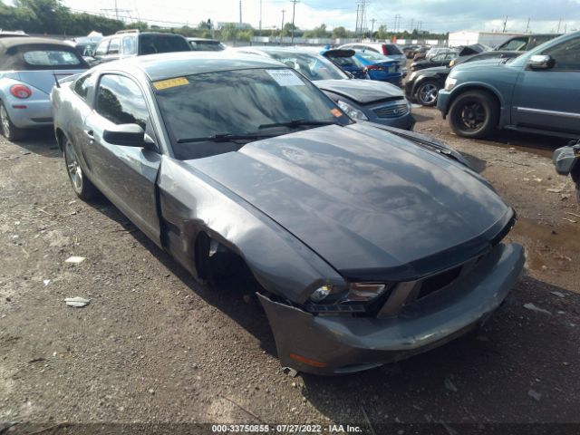 FORD MUSTANG 2010 1zvbp8an4a5162972