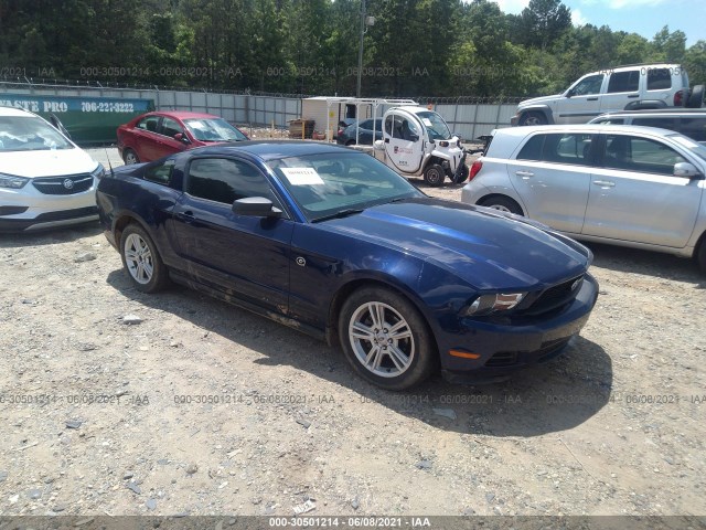 FORD MUSTANG 2010 1zvbp8an4a5164155