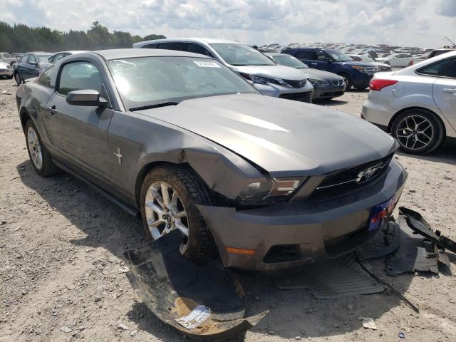 FORD MUSTANG 2010 1zvbp8an4a5164348