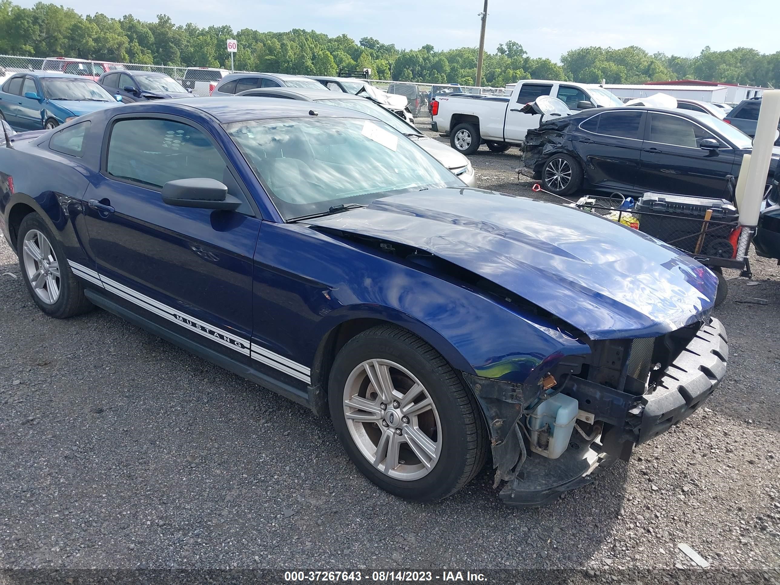 FORD MUSTANG 2010 1zvbp8an4a5165449