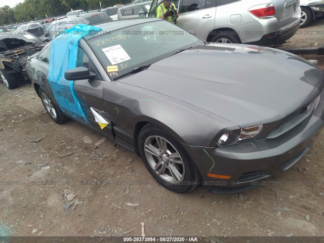 FORD MUSTANG 2010 1zvbp8an4a5170781