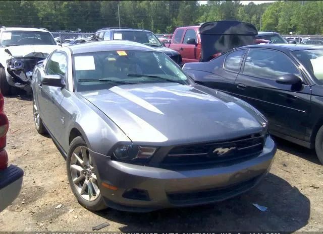 FORD MUSTANG 2010 1zvbp8an4a5175916