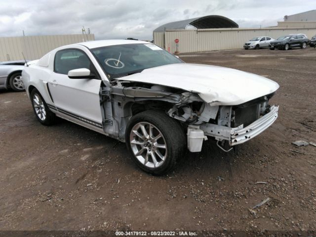 FORD MUSTANG 2010 1zvbp8an4a5177469