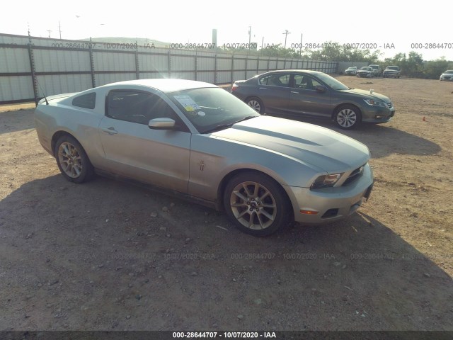 FORD MUSTANG 2010 1zvbp8an4a5181912