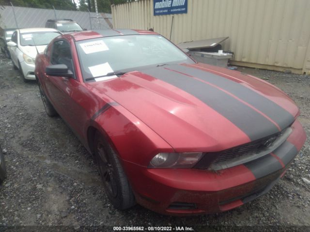 FORD MUSTANG 2010 1zvbp8an5a5100500