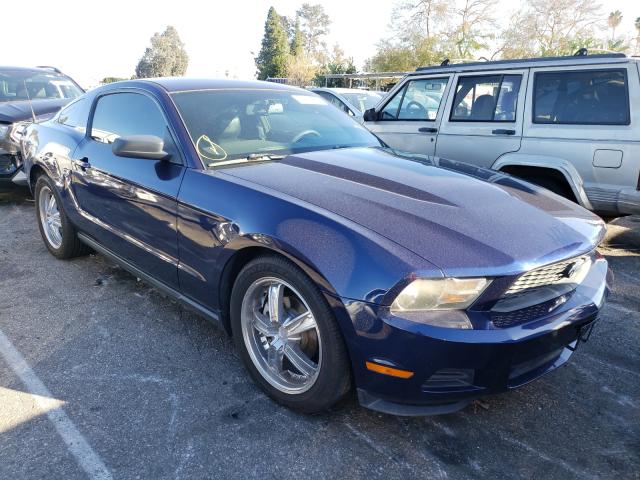 FORD MUSTANG 2010 1zvbp8an5a5101534