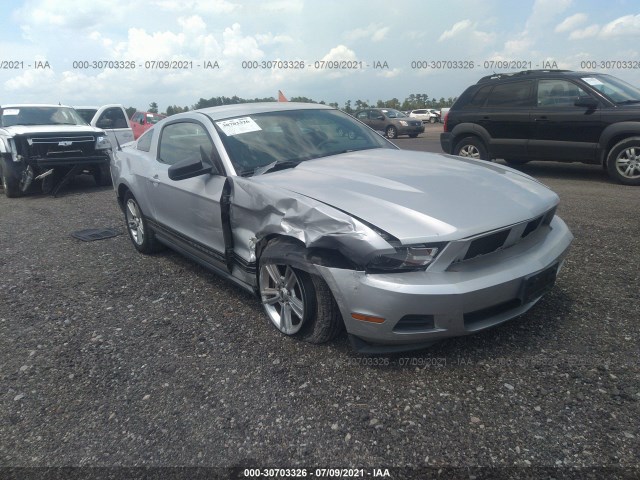 FORD MUSTANG 2010 1zvbp8an5a5105065