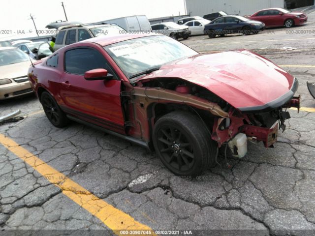 FORD MUSTANG 2010 1zvbp8an5a5105194