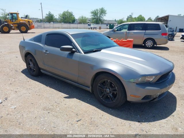 FORD MUSTANG 2010 1zvbp8an5a5105499