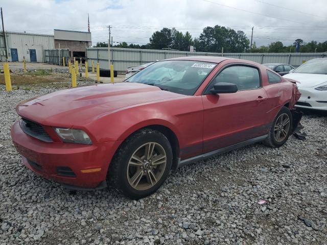 FORD MUSTANG 2010 1zvbp8an5a5106636