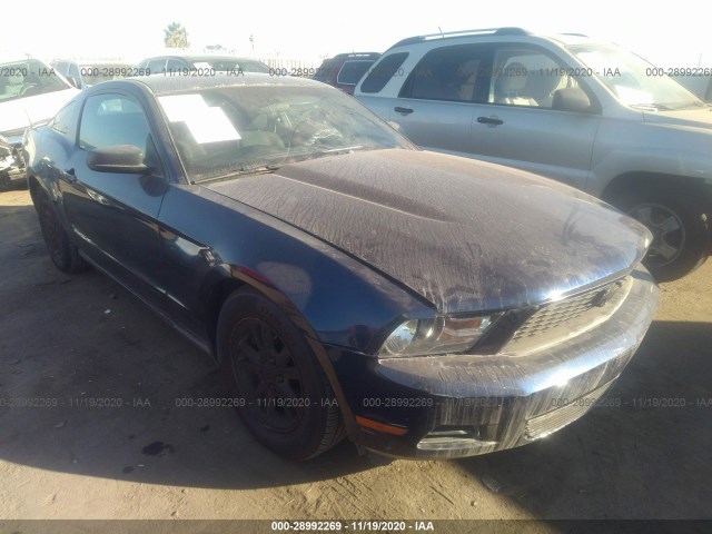 FORD MUSTANG 2010 1zvbp8an5a5112601