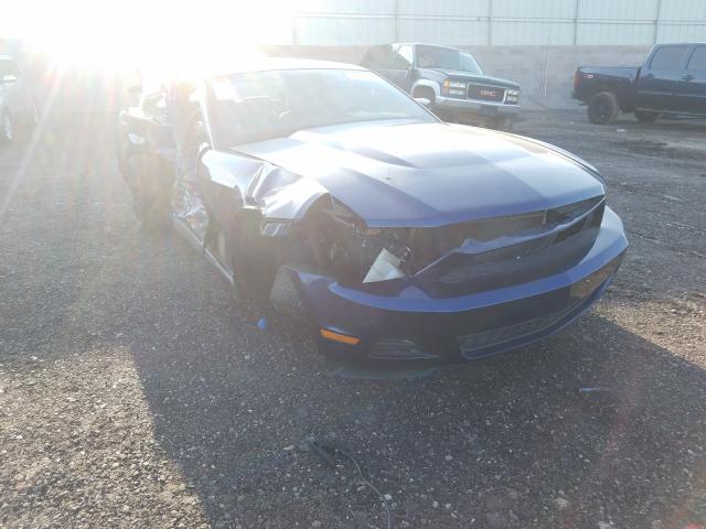 FORD MUSTANG 2010 1zvbp8an5a5120701