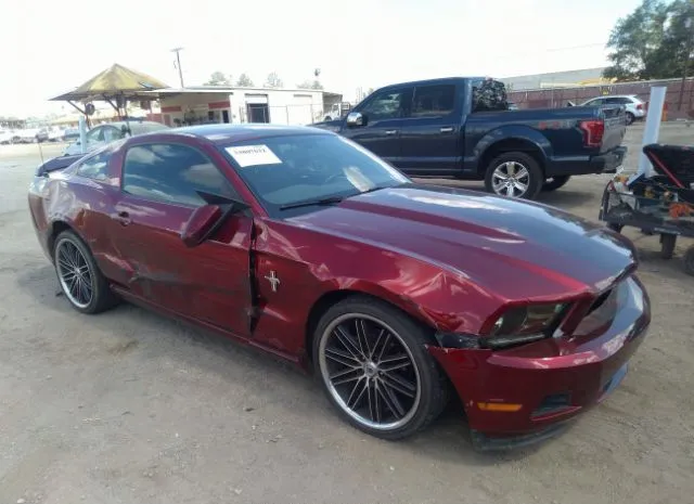 FORD MUSTANG 2010 1zvbp8an5a5124067