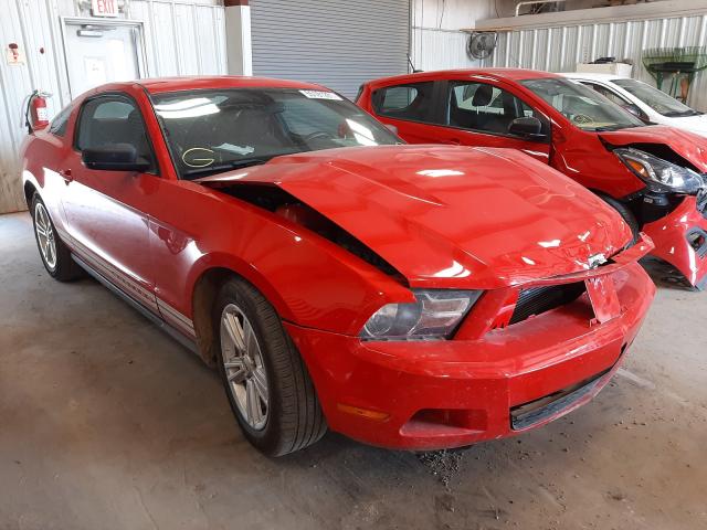 FORD MUSTANG 2010 1zvbp8an5a5125848