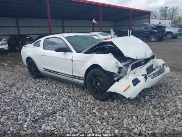 FORD MUSTANG 2010 1zvbp8an5a5130760