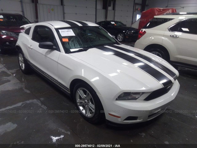 FORD MUSTANG 2010 1zvbp8an5a5130905