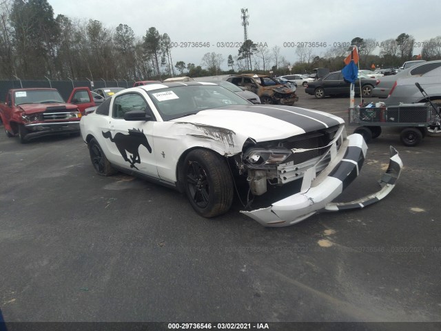 FORD MUSTANG 2010 1zvbp8an5a5130970