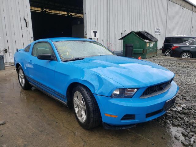 FORD MUSTANG 2010 1zvbp8an5a5131147