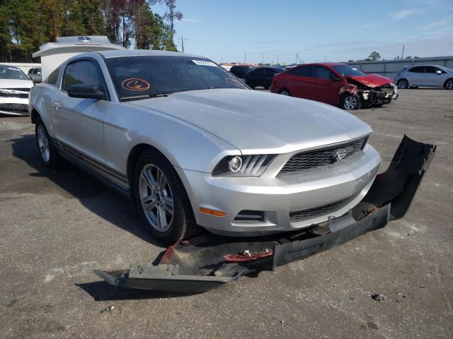 FORD MUSTANG 2010 1zvbp8an5a5131715