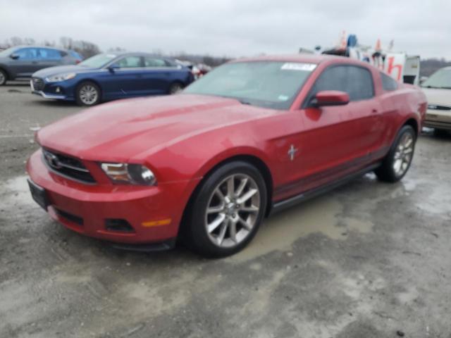 FORD MUSTANG 2010 1zvbp8an5a5131875