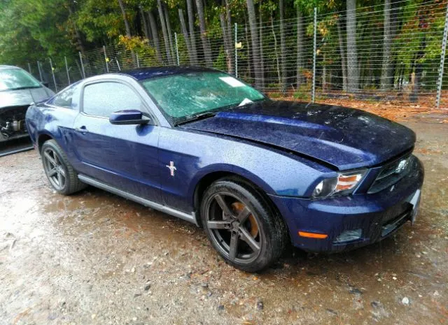 FORD MUSTANG 2010 1zvbp8an5a5132427