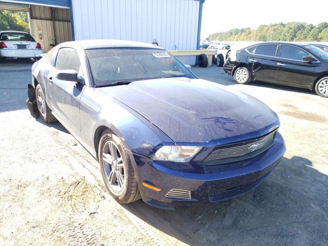 FORD MUSTANG 2010 1zvbp8an5a5132590