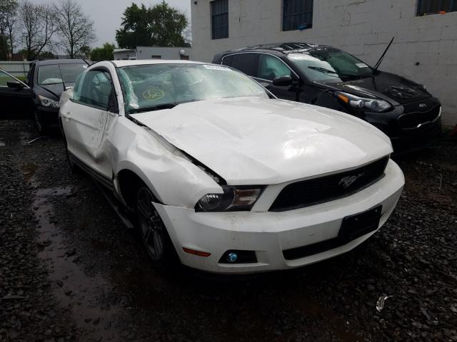 FORD MUSTANG 2010 1zvbp8an5a5133237