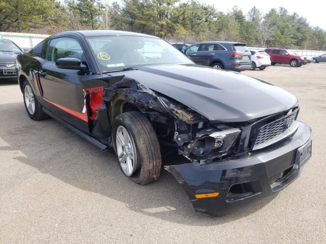 FORD ALL MODELS 2010 1zvbp8an5a5133433