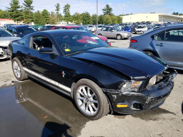 FORD MUSTANG 2010 1zvbp8an5a5138969