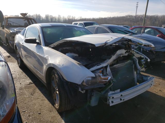 FORD MUSTANG 2010 1zvbp8an5a5140298