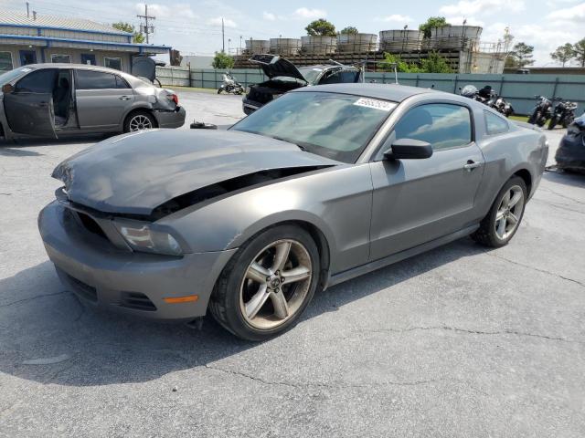 FORD MUSTANG 2010 1zvbp8an5a5143329