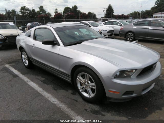 FORD MUSTANG 2010 1zvbp8an5a5144531