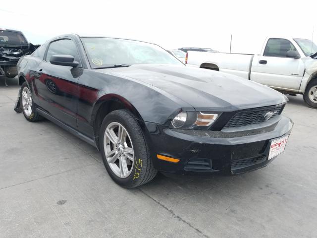 FORD MUSTANG 2010 1zvbp8an5a5150264