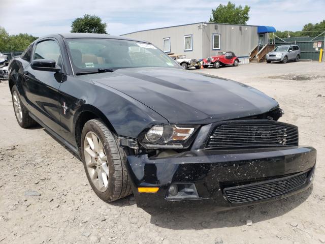 FORD MUSTANG 2010 1zvbp8an5a5152385