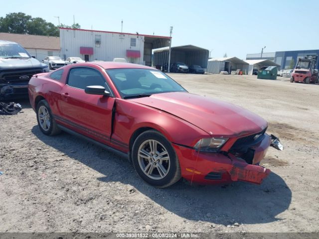 FORD MUSTANG 2010 1zvbp8an5a5159224