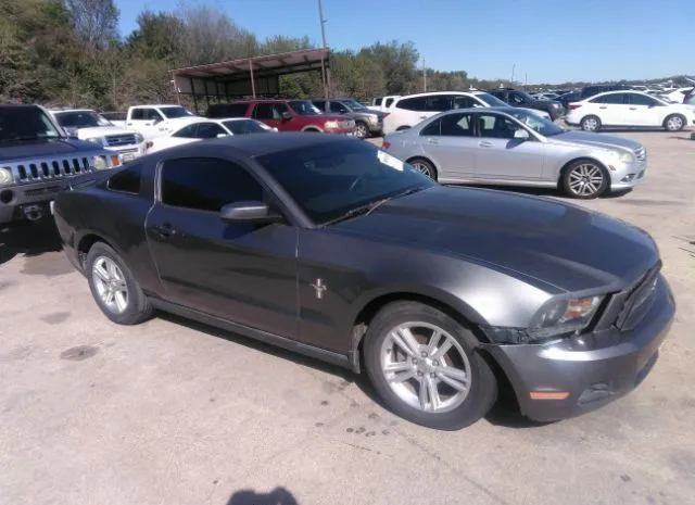 FORD MUSTANG 2010 1zvbp8an5a5159661