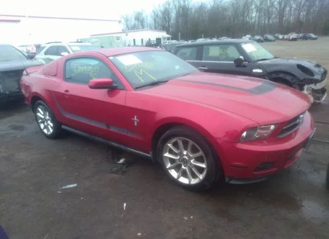 FORD MUSTANG 2010 1zvbp8an5a5162298