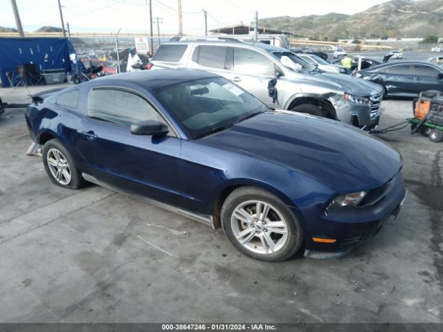 FORD MUSTANG 2010 1zvbp8an5a5164245