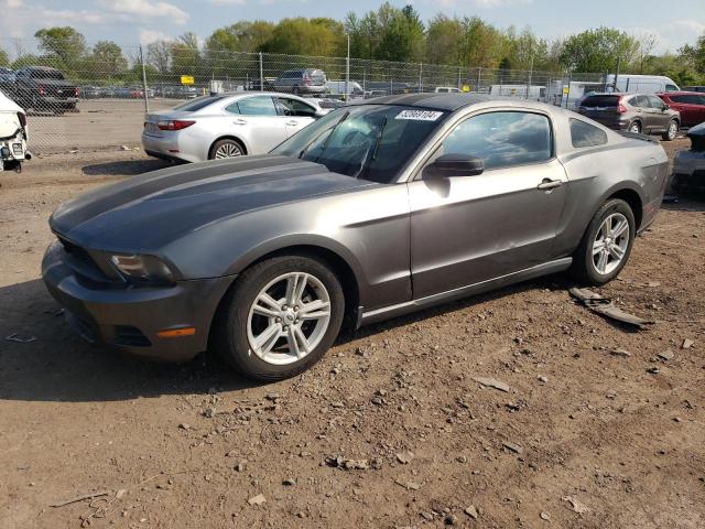 FORD MUSTANG 2010 1zvbp8an5a5164567