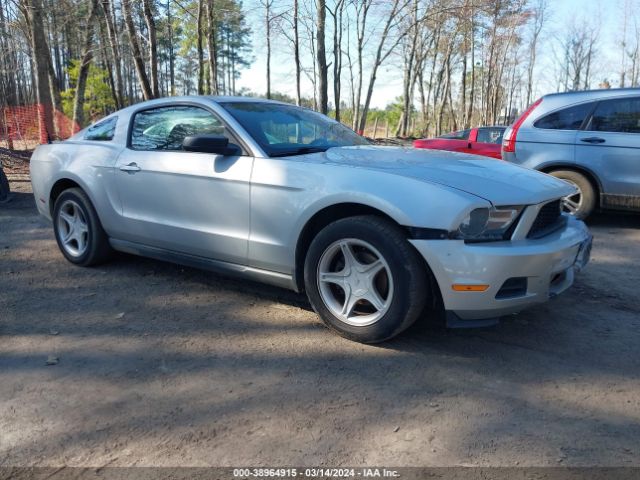 FORD MUSTANG 2010 1zvbp8an5a5165184