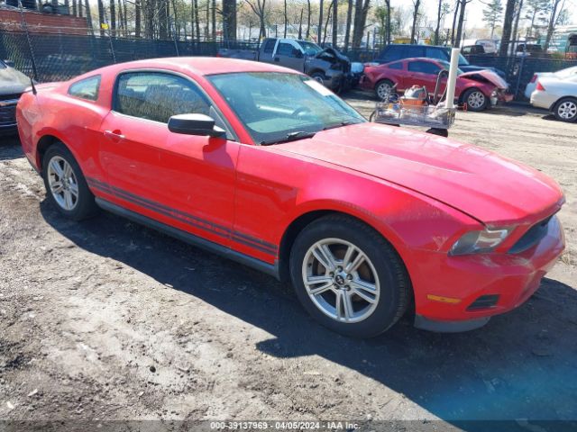 FORD MUSTANG 2010 1zvbp8an5a5170062