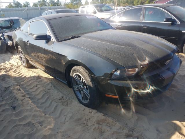 FORD MUSTANG 2010 1zvbp8an5a5170157