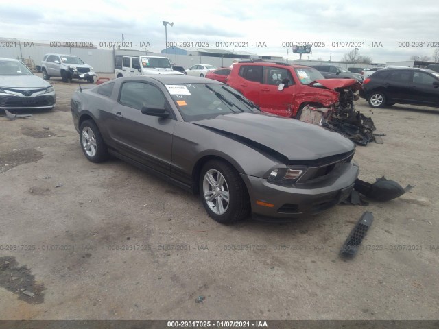 FORD MUSTANG 2010 1zvbp8an5a5172801