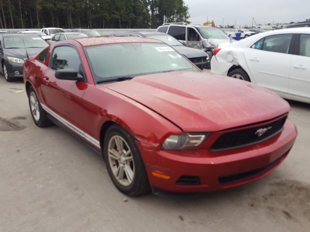 FORD MUSTANG 2010 1zvbp8an5a5175939