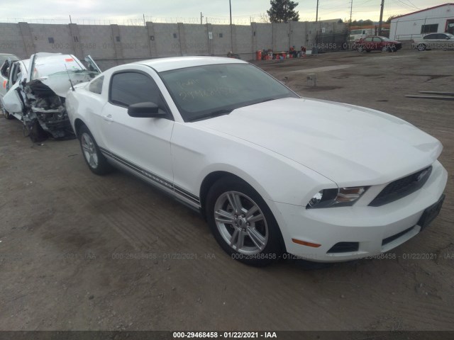 FORD MUSTANG 2010 1zvbp8an5a5176346